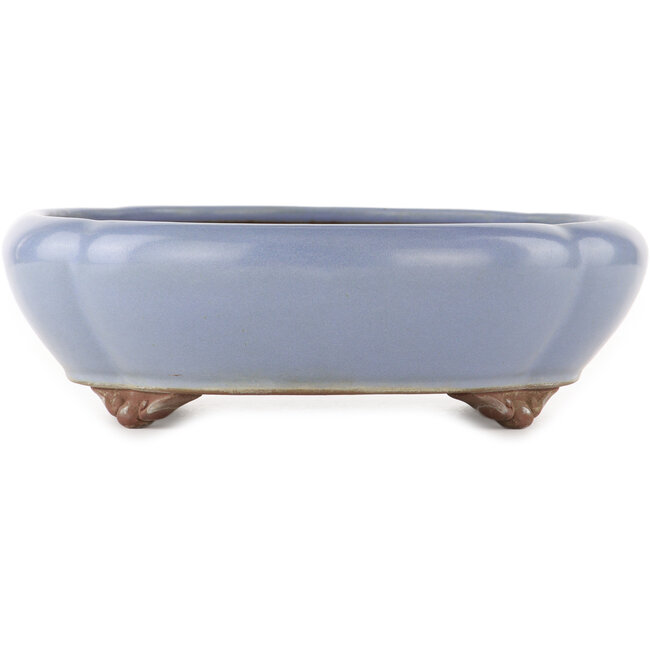 Maceta ovalada azul para bonsái de Yamaaki - 335 x 290 x 90 mm