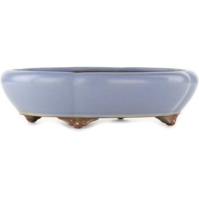 Pot à bonsaï ovale bleu de Yamaaki - 335 x 290 x 90 mm