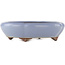 Maceta ovalada azul para bonsái de Yamaaki - 335 x 290 x 90 mm