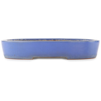 Reihou (Bonsai Matsushita Hiroyuki or Mr.MATSUSHITA Reiji    Master) 375 mm oval blue bonsai pot by Reiho, Tokoname, Japan