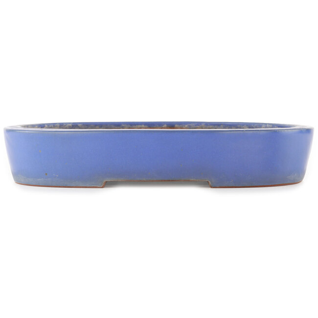 Oval blue bonsai pot by Reiho - 375 x 295 x 60 mm