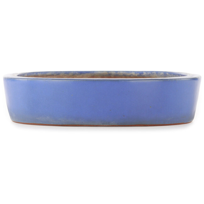 Ovale blauwe bonsai pot van Reiho - 375 x 295 x 60 mm