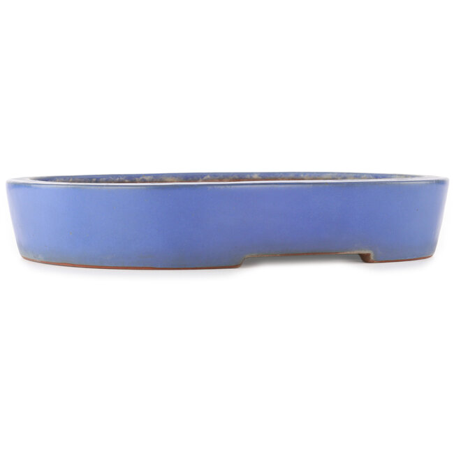 Oval blue bonsai pot by Reiho - 375 x 295 x 60 mm