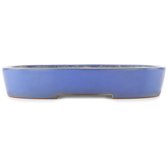 Maceta ovalada azul para bonsái de Reiho - 375 x 295 x 60 mm
