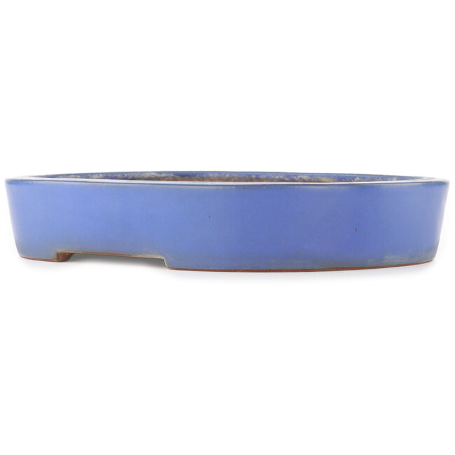 Pot à bonsaï ovale bleu de Reiho - 375 x 295 x 60 mm