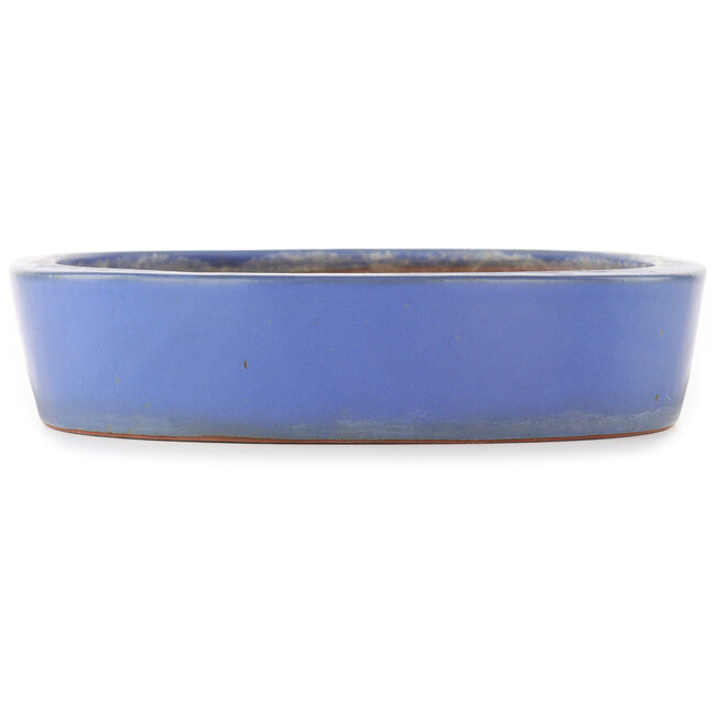 Pot à bonsaï ovale bleu de Reiho - 375 x 295 x 60 mm