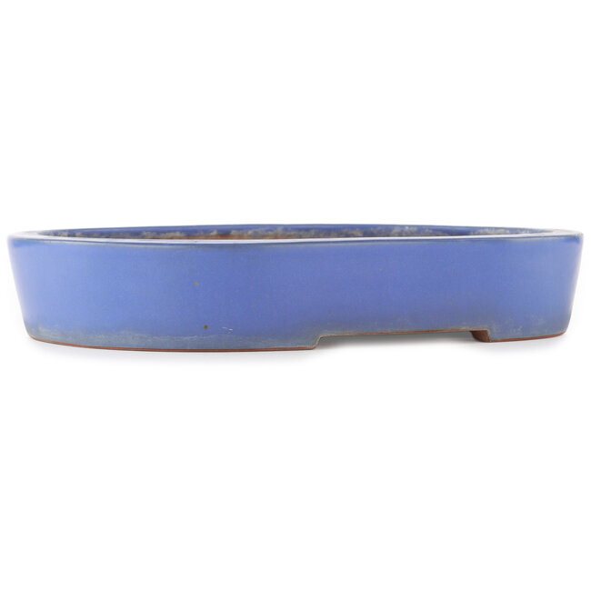 Ovaler blauer Bonsai-Topf von Reiho - 375 x 295 x 60 mm