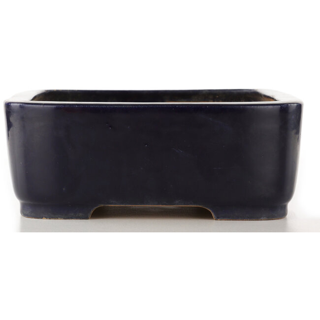 Vaso bonsai rettangolare blu di Reiho - 420 x 290 x 105 mm