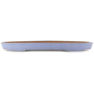 Reihou (Bonsai Matsushita Hiroyuki or Mr.MATSUSHITA Reiji    Master) 495 mm oval blue bonsai pot by Reiho, Tokoname, Japan