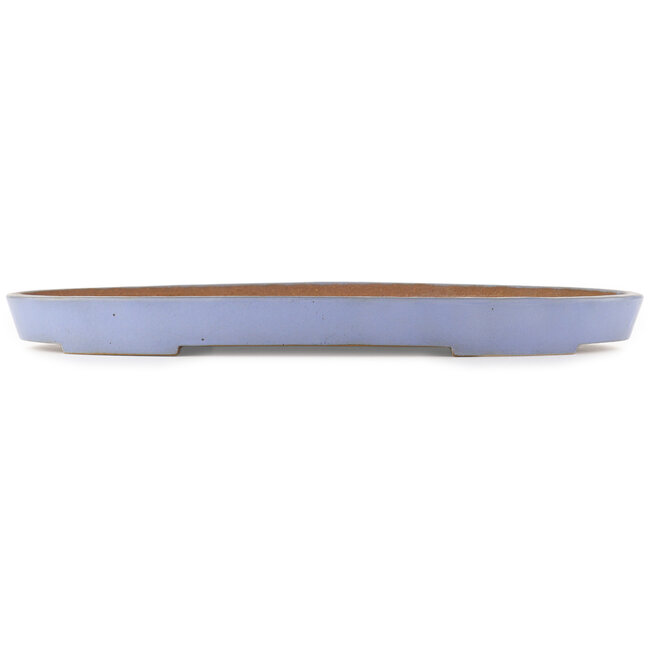 Oval blue bonsai pot by Reiho - 495 x 330 x 50 mm