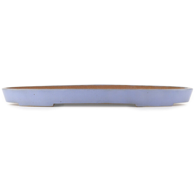 Pot à bonsaï ovale bleu de Reiho - 495 x 330 x 50 mm