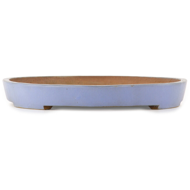 Oval blue bonsai pot by Reiho - 495 x 330 x 50 mm