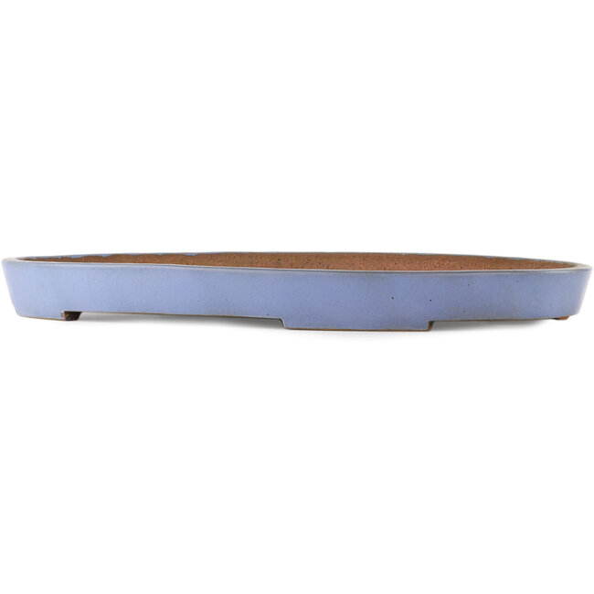 Ovale blauwe bonsai pot van Reiho - 495 x 330 x 50 mm