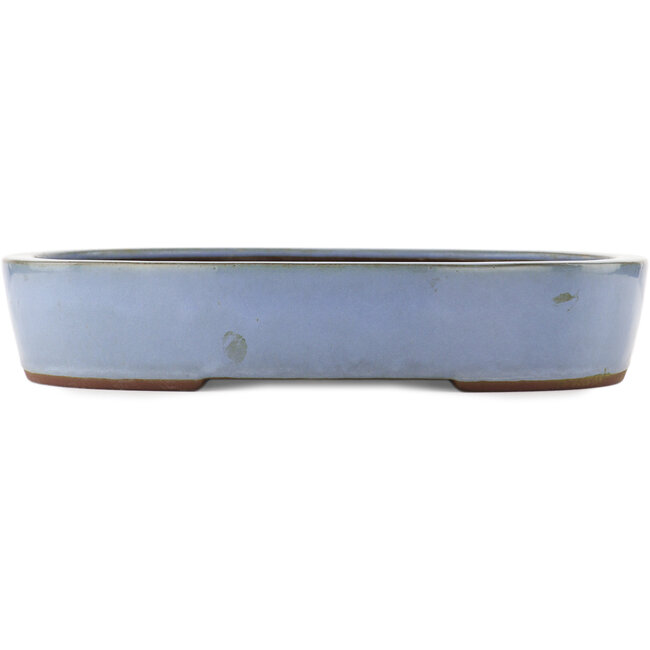 Oval blue bonsai pot by Yamaaki - 405 x 310 x 75 mm