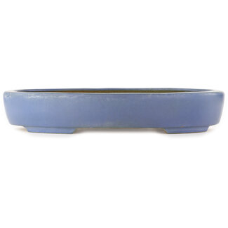 Hattori Tomoyuki 435 mm oval blue bonsai pot by Hattori, Tokoname, Japan