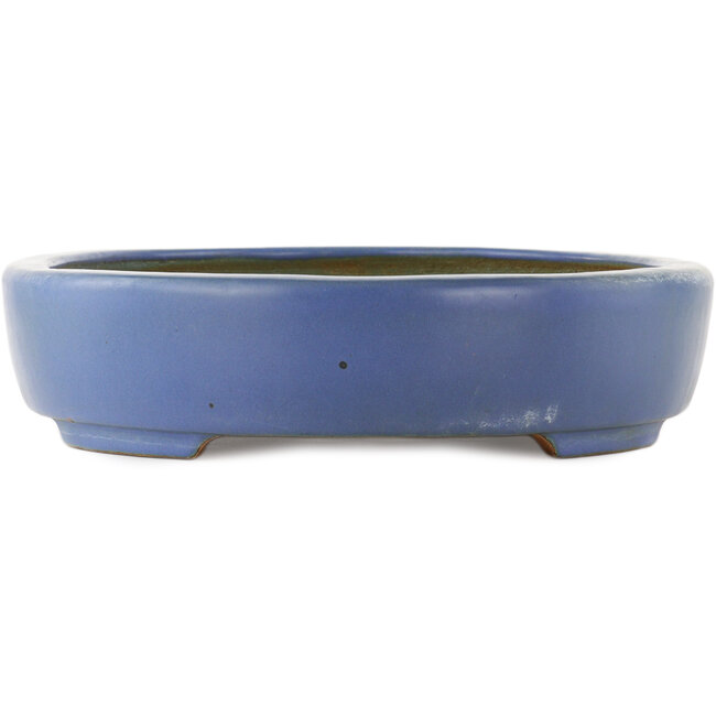 Maceta ovalada azul para bonsái de Hattori - 435 x 320 x 70 mm
