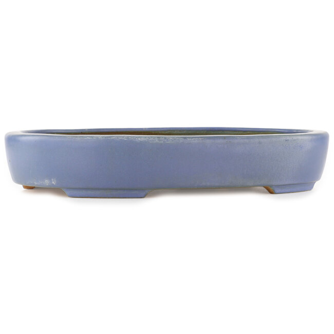 Ovaler blauer Bonsai-Topf von Hattori - 435 x 320 x 70 mm