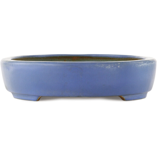 Oval blue bonsai pot by Hattori - 435 x 320 x 70 mm