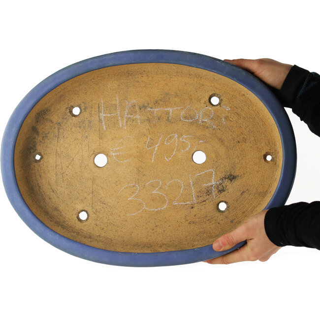 Vaso bonsai ovale blu di Hattori - 435 x 320 x 70 mm