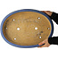Pot à bonsaï ovale bleu par Hattori - 435 x 320 x 70 mm