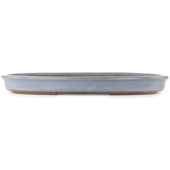 Vaso bonsai ovale blu di Yamaaki - 480 x 355 x 50 mm