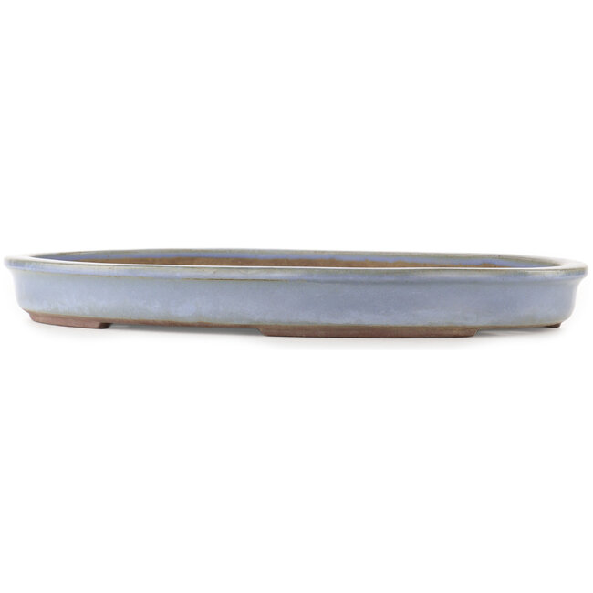 Pot à bonsaï ovale bleu de Yamaaki - 480 x 355 x 50 mm