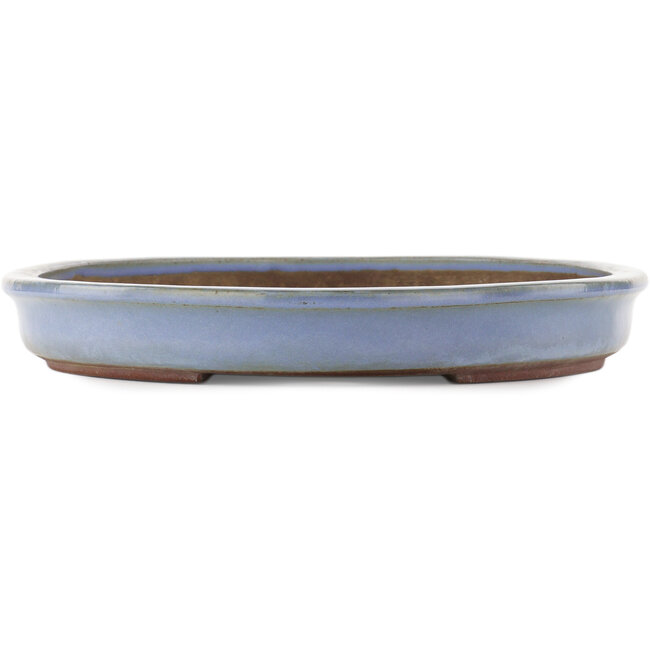 Pot à bonsaï ovale bleu de Yamaaki - 480 x 355 x 50 mm