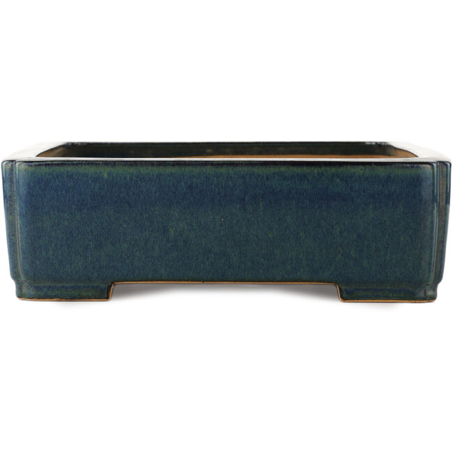 Maceta rectangular azul para bonsái de Reiho - 460 x 325 x 100 mm