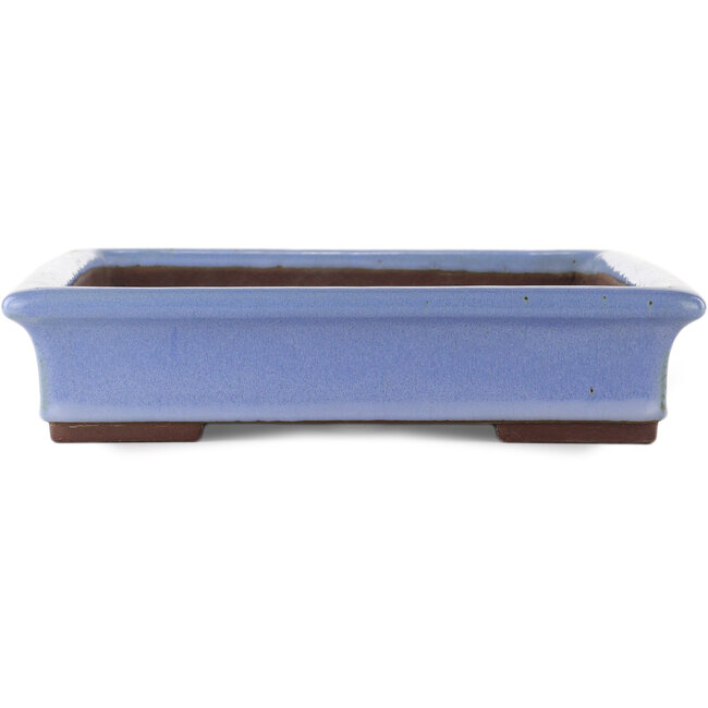 Rectangular blue bonsai pot by Yamaaki - 440 x 320 x 65 mm
