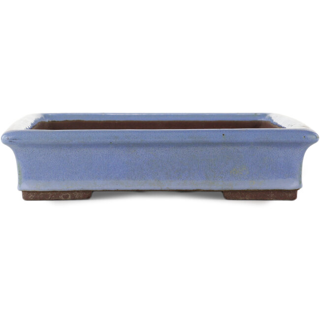 Vaso bonsai rettangolare blu di Yamaaki - 440 x 320 x 65 mm