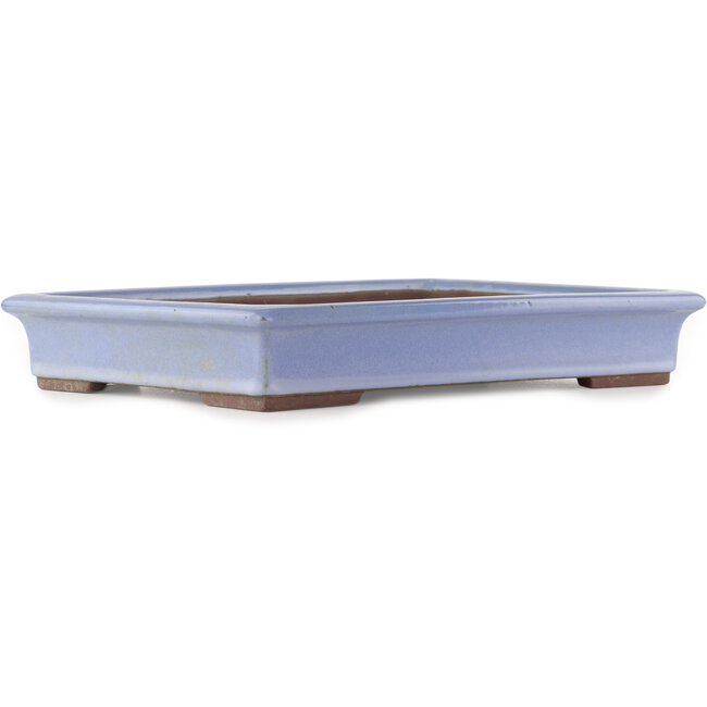 Pot à bonsaï rectangulaire bleu de Yamaaki - 440 x 320 x 65 mm