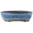 Oval blue bonsai pot by Yamafusa - 465 x 350 x 95 mm