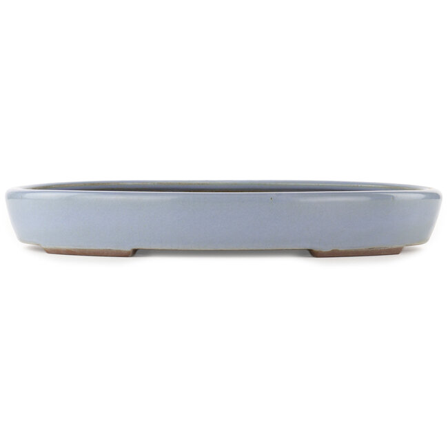 Vaso bonsai ovale blu di Yamaaki - 465 x 335 x 60 mm
