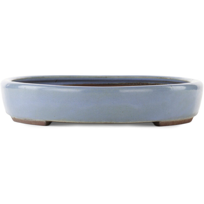 Ovale blauwe bonsai pot van Yamaaki - 465 x 335 x 60 mm