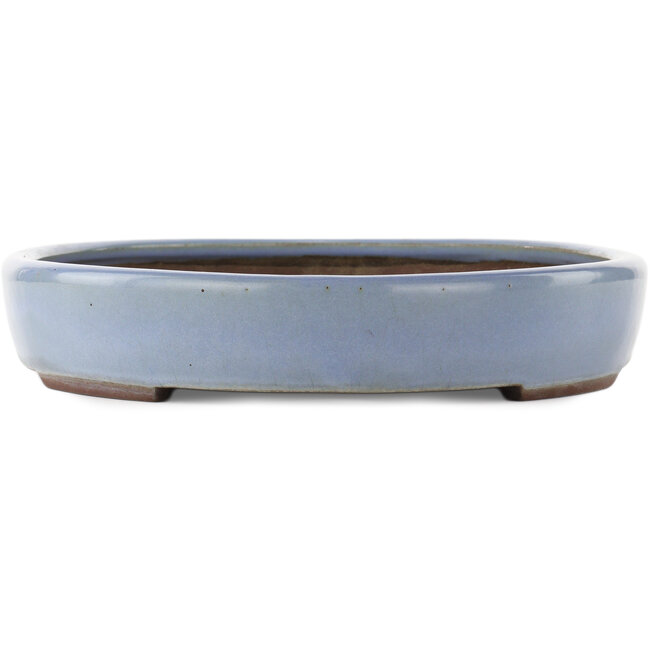 Oval blue bonsai pot by Yamaaki - 465 x 335 x 60 mm