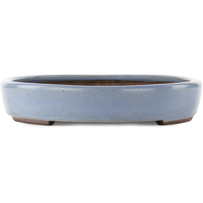 Vaso bonsai ovale blu di Yamaaki - 465 x 335 x 60 mm