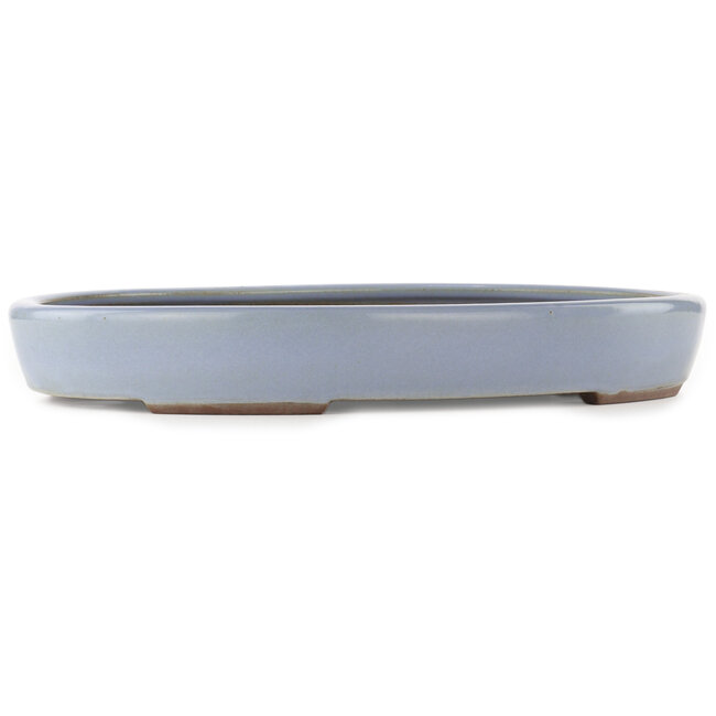 Oval blue bonsai pot by Yamaaki - 465 x 335 x 60 mm
