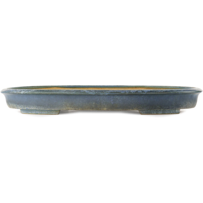 Pot à bonsaï ovale bleu par Hattori - 490 x 360 x 55 mm