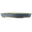 Vaso bonsai ovale blu di Hattori - 490 x 360 x 55 mm