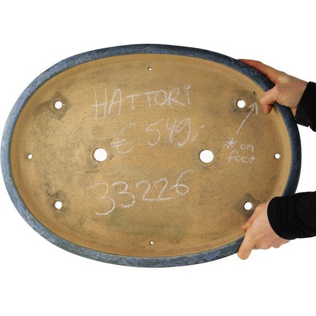 Maceta ovalada azul para bonsái de Hattori - 490 x 360 x 55 mm