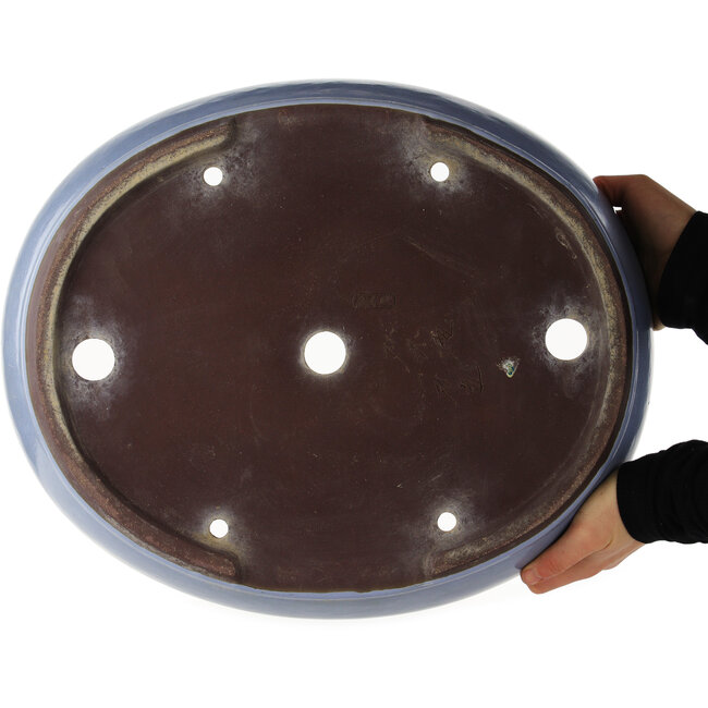 Oval blue bonsai pot by Yamaaki - 425 x 350 x 80 mm