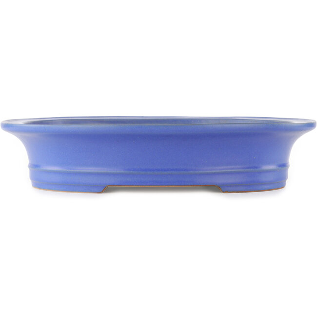 Ovale blauwe bonsai pot van Reiho - 435 x 360 x 85 mm
