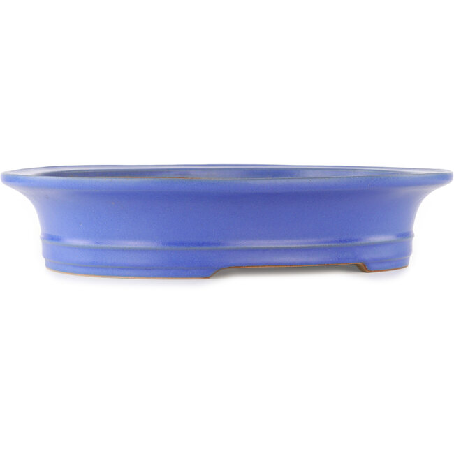 Oval blue bonsai pot by Reiho - 435 x 360 x 85 mm