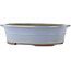 Pot à bonsaï ovale bleu de Yamaaki - 450 x 360 x 120 mm