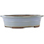 Pot à bonsaï ovale bleu de Yamaaki - 450 x 360 x 120 mm