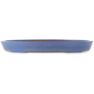 Reihou (Bonsai Matsushita Hiroyuki or Mr.MATSUSHITA Reiji    Master) 460 mm oval blue bonsai pot by Reiho, Tokoname, Japan