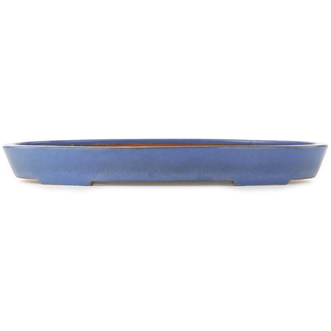 Pot à bonsaï ovale bleu de Reiho - 460 x 300 x 50 mm
