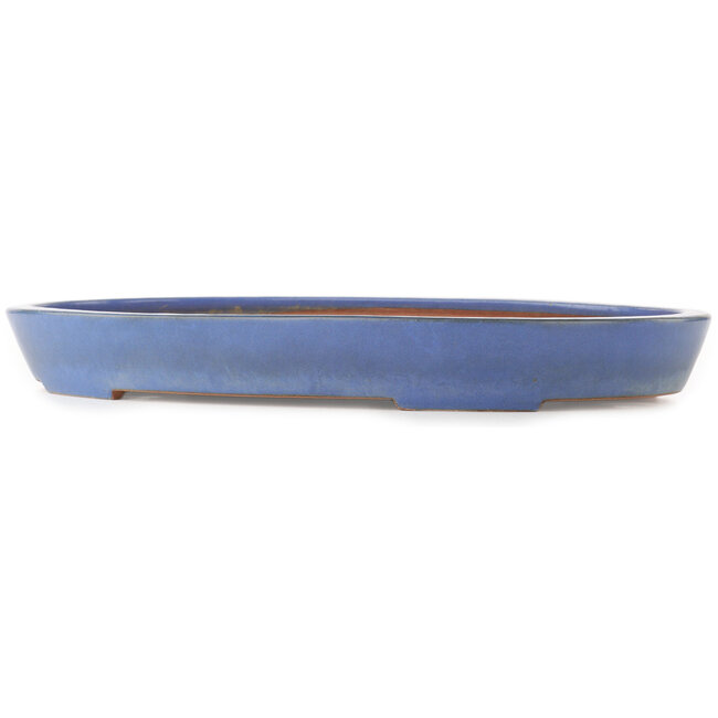 Pot à bonsaï ovale bleu de Reiho - 460 x 300 x 50 mm