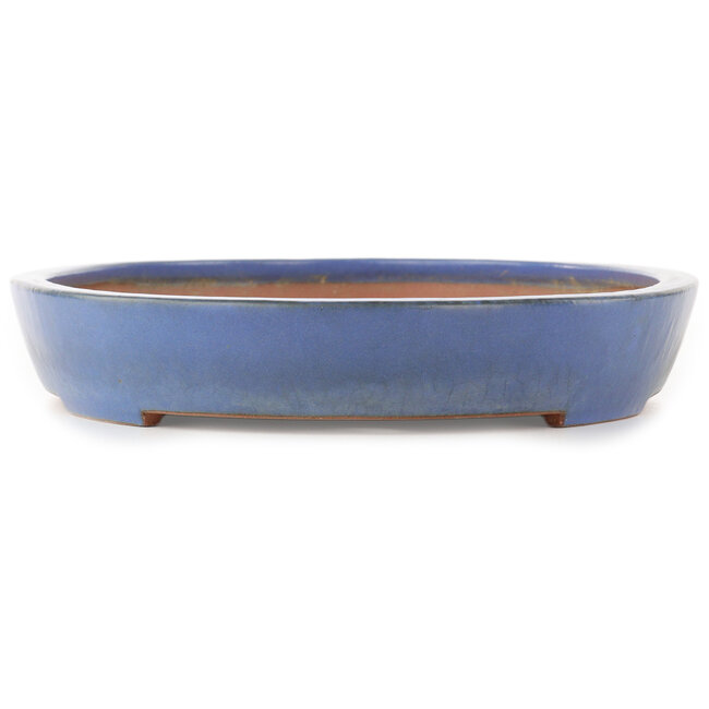 Ovale blauwe bonsai pot van Reiho - 460 x 300 x 50 mm