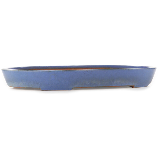 Pot à bonsaï ovale bleu de Reiho - 460 x 300 x 50 mm